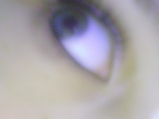 [x]{..*...єує...*..}[x]